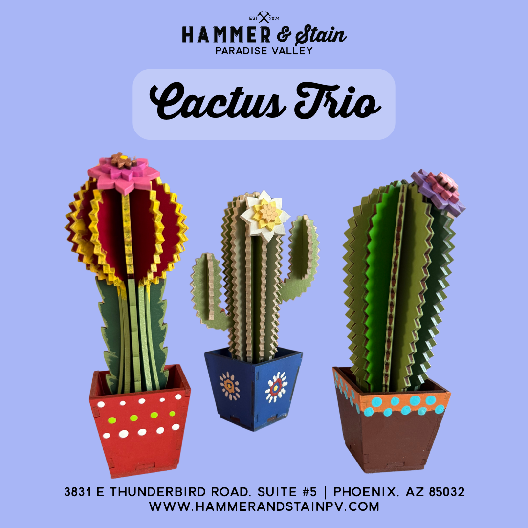 05/30 Friday 6:00pm - Cactus Trio