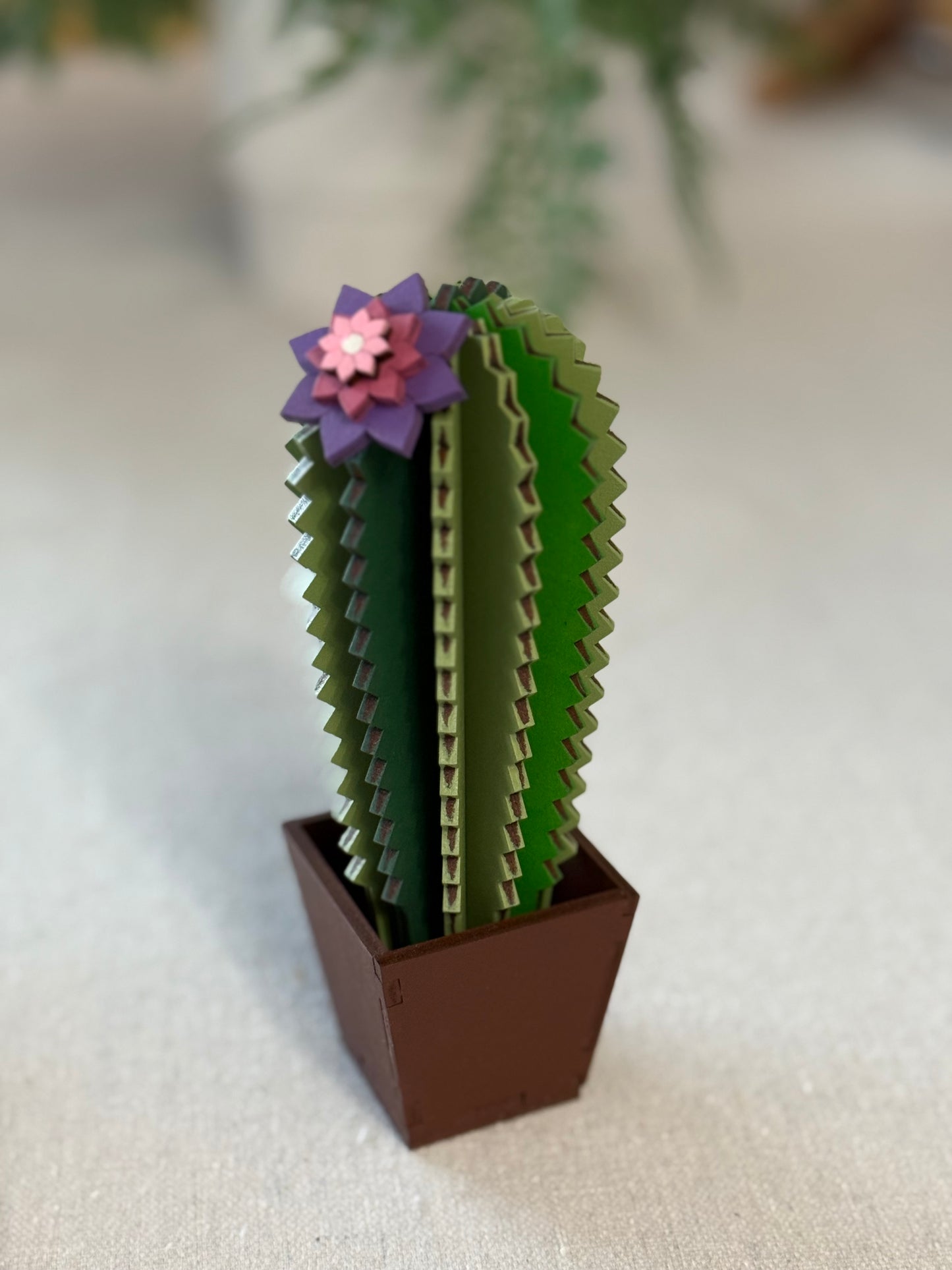 05/30 Friday 6:00pm - Cactus Trio