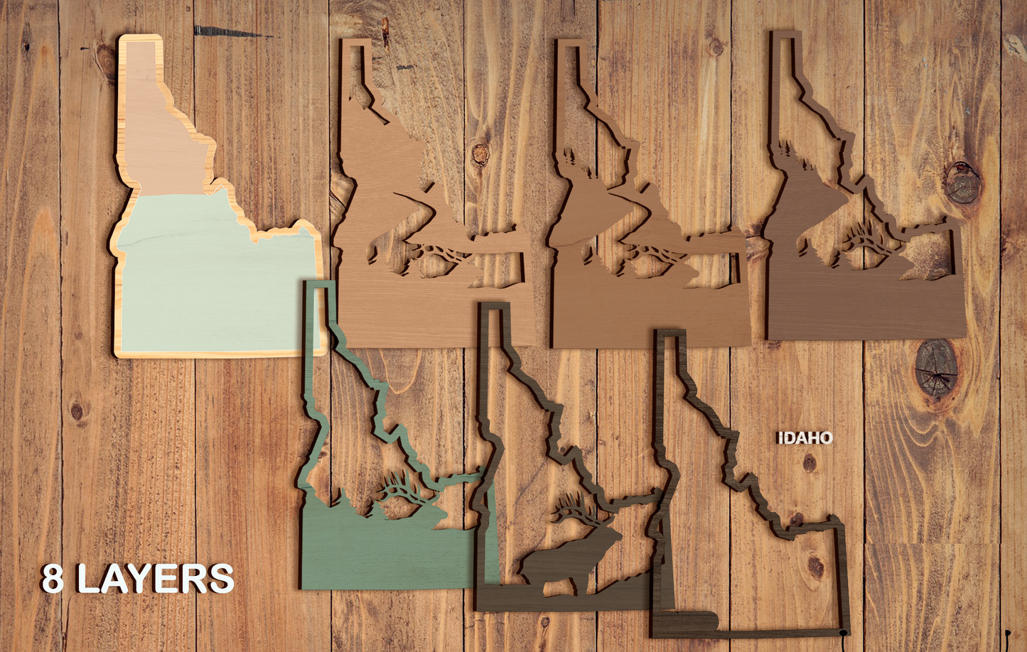 08/08 Friday 6:00pm - 50 States in 3D