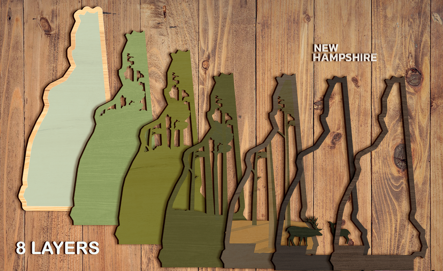 08/08 Friday 6:00pm - 50 States in 3D