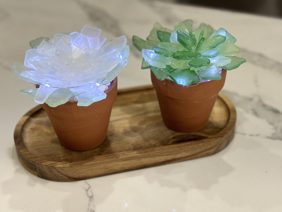 05/14 Wednesday 1:00pm - Tumbled Sea Glass Trees & Succulents