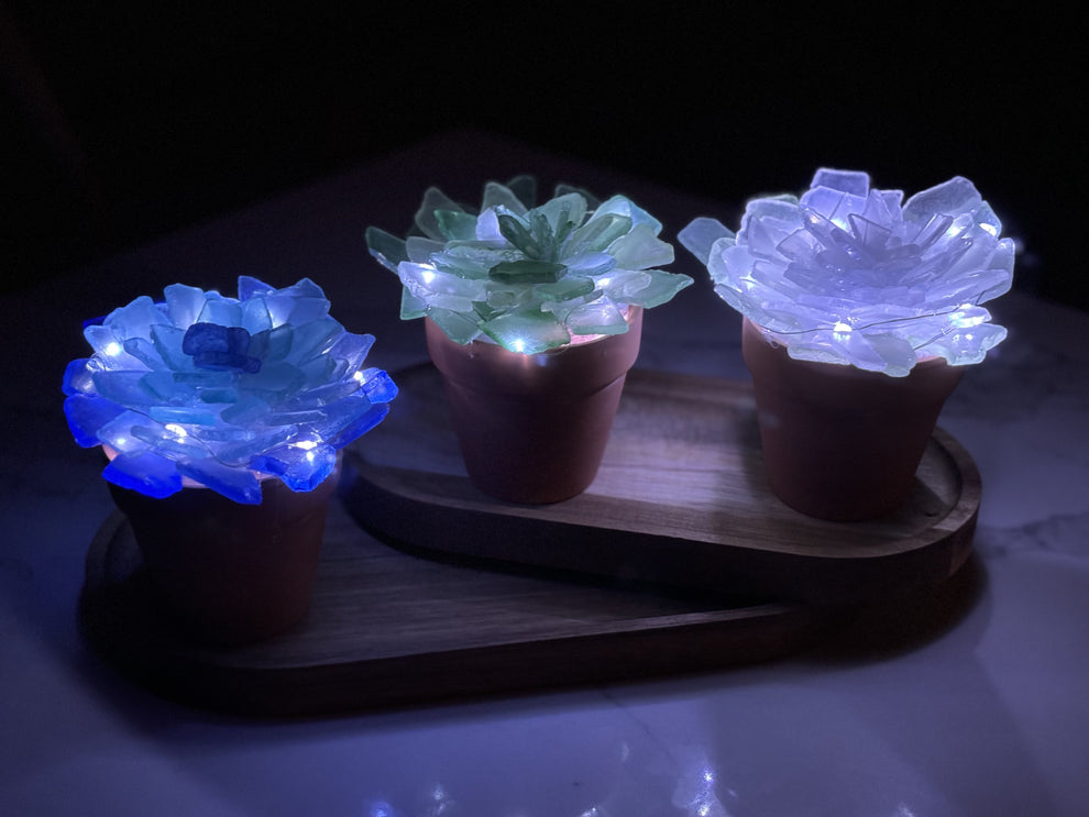 05/14 Wednesday 1:00pm - Tumbled Sea Glass Trees & Succulents