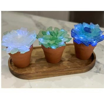05/14 Wednesday 1:00pm - Tumbled Sea Glass Trees & Succulents