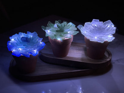 05/14 Wednesday 1:00pm - Tumbled Sea Glass Trees & Succulents